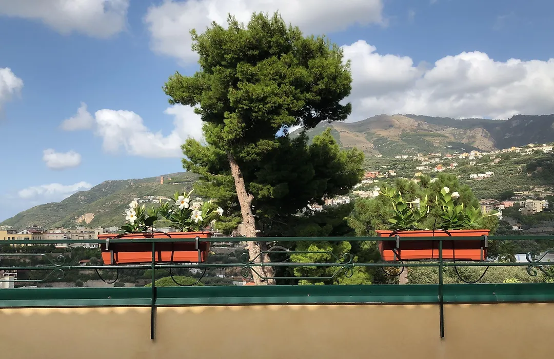 Vesuvio View-1